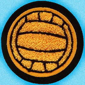 Waterpolo / Water Polo Ball 4 Chenille Water Polo Ball Letterman 