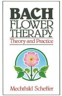   Theory and Practice by Mechthild Scheffer 1987, Paperback