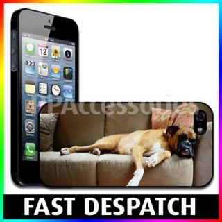 Boxer Dog Lying On Sofa Hard Case Back Cover For Apple iPhone 5
