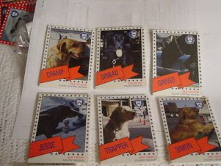 US CUSTOMS SERVICE COLLECTABLE 1991 K 9 BLUE STAR CARD SET 74 CARDS 