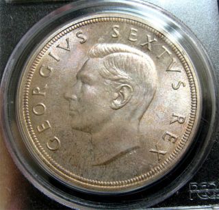 1948 south africa 5shillings pcgs pl68 the finest one from