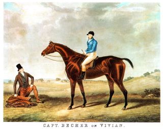 1835 C Hunt, Captain Becher on Vivian, Beautiful Horse Print 