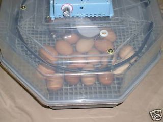 Clear Top Turbo Fan Incubator with FREE WHITE LEGHORN HATCHING EGGS