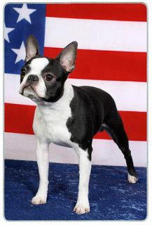 tempered glass cutting board boston terrier flag 