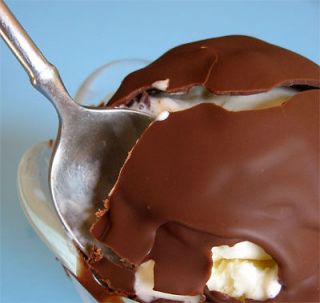 One Magic Shell Ice Cream Topping Recipe. 99 Cent Buy Now Auction