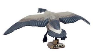 New Spg Big Rack   Goose Miniature Trophy Mount Raxx Adam Van Wagenen 