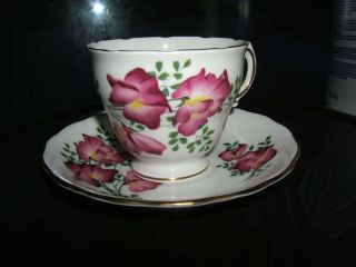 royal vale bone china teacup and saucer poppies time left