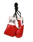 Title Platinum Paramount Boxing Gloves Ringside Grant Cleto Reyes 