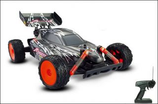 Remote Control 110 RC OffRoad Extreme Rogster Buggy RTR RC Red