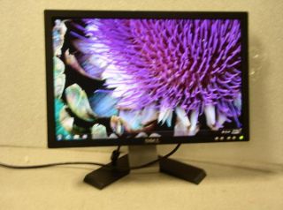 Dell E198WFPF 19 Widescreen LCD Monitor Black 1440x900 Resolution VGA 