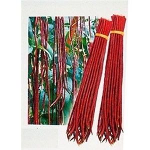 Red Long Beans Noodle Seed Foot Long Spring Bean 25