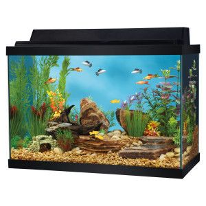 PICK UP ONLY Brand New 20 Gallon Aquarium Filter Tons of Extras