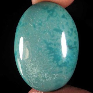 26 95cts Natural Tibet Turquoise Oval Cabochon Gemstone 13617