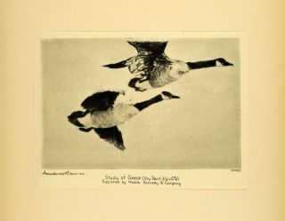 1931 Tipped In Print Frank W. Benson Canadian Geese Flying Sketch 
