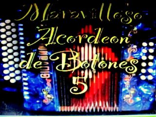 DVD Maravilloso Acordeon de Botones Acordionists Guide in Spanish 