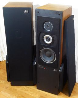 Vtg Teledyne Acoustic Research AR90 Tower Stereo Loudspeakers Speakers 