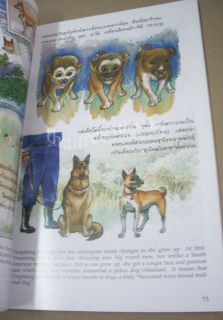 Basenji Dog The Story of Tongdaeng Dog by King Bhumibol Thailand Book 