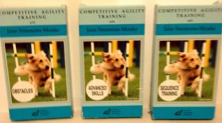 Competitive Agility Training Sequence Obstacles Advanced Skills 