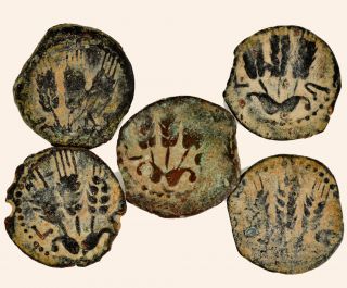 Herod Agrippa Barley Canopy Prutah Coins 37 44AD $49 Ea