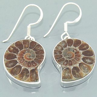 RARE Fossil Ammonite Gemstone 925 Sterling Silver Dangle Earrings 