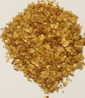 06 grams of gold nuggets from Slate Creek, Alaska