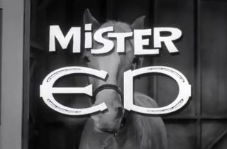Mr Ed Ed The Beneficiary TV Episode 1962 Alan Young Comedy