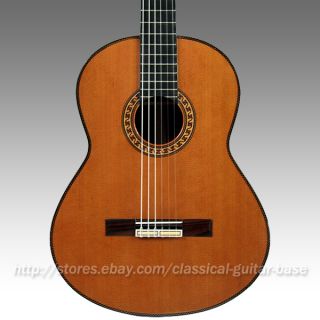 New Alida Concert Classical Guitar Solid Top Handcrafted Spanish 