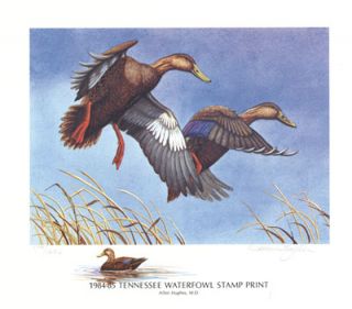 1984 85 Tennessee Waterfowl Stamp Print by Allen Hughes MD