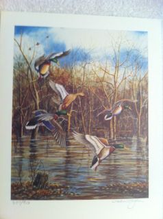 10 Allen Hughes Prints Lithograph Signed Numbered Duck Pheasant Turkey 