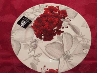 ANDREW TANNER ROYAL STAFFORD FLORAL CLEMATIS RED GRAY SALAD PLATES SET 