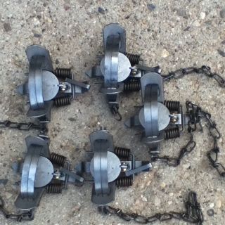 New Duke 1 5 Coilspring Trap Trapping Animal Traps