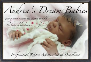 andrea s dream babies proudly presents a gorgeous little girl angelica 