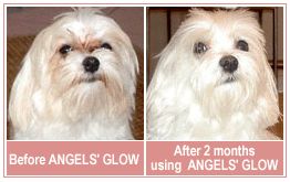 Angels Glow Eyes Tear Stain Remover 30 60 120 240 Grams