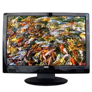 AOC 20 LCD Widescreen Monitor Model 2019VWA1 with Built in Speakers 