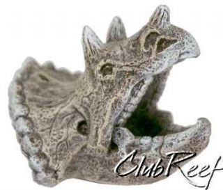 Mini Triceratops Dino Skull Resin Aquarium Ornament