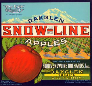brand snow line variation type apple origin yucaipa ca circa 1930 dist