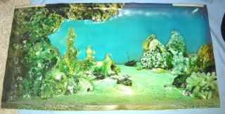 Vintage Penn Plax 3D Aquarium Background w/Box 1975 Creature #2