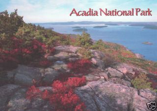Arcadia National Park Maine Postcard
