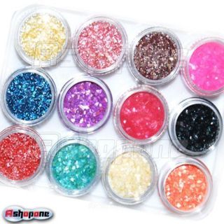 12 Color Glitter Crushed Shell Nail Art Decoration Powder Tips