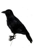   Artificial Feathered Black Halloween Crow Artificial Halloween Crows