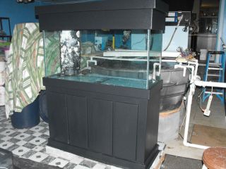 90 Gallon Used Aquarium Custom Stand Canopy Saltwater Fresh Water 