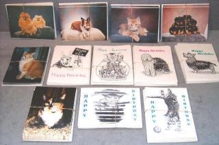 288 Assorted Cat Dog Related Birthday Greeting Card