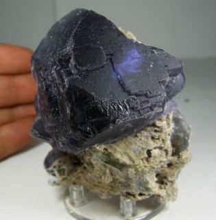 Fluorite 8x6 cm La Collada Siero Asturias Spain Mineral