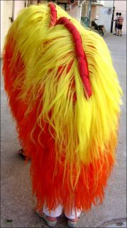 Chinese Style Folk Celebration Costume Lucky Lion Dance discount