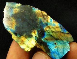 25 Polished Multi Color Labradorite Spectrolite Rough Specimen 