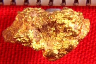 AUSTRALIAN GOLD NUGGET   FANTASTIC   gold bullion   gold nuggets