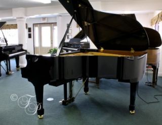 New Hämburg & Bach Baby Grand Piano w/New Player   Beats Kawai 