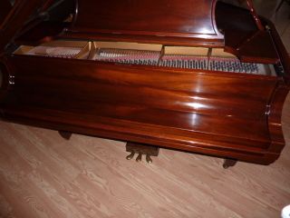 1929 Steinway Baby Grand Piano One Owner