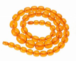  Genuine Top Quality Graduated Baltic Amber Beads Necklace
