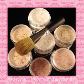   40 Special Brush Kit Bare Skin Minerals Makeup Sheer Foundation